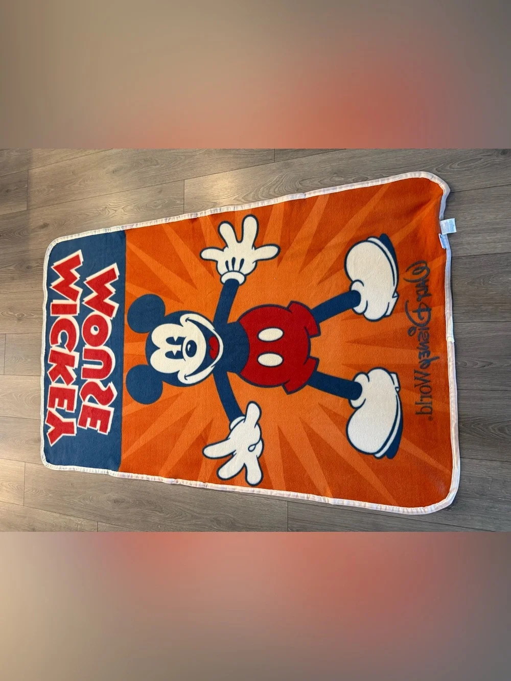 2 Walt Disney World Mickey Mouse Lightweight Fleece Blankets 40x64